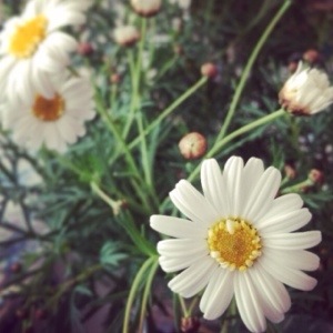 おうちコト❤︎ おうちコト❤︎