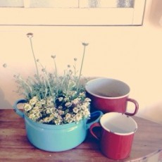 土曜日行った骨董市 土曜日行った骨董市