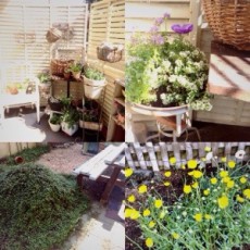 おうちコト❤︎ おうちコト❤︎