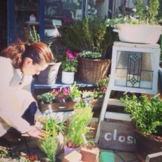 春ですね 春ですね