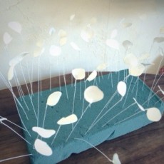 はまり中❤︎ はまり中❤︎