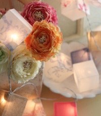 クリーパーランプ クリーパーランプ